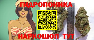 apvp Тверь
