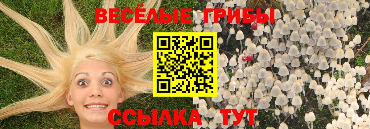 Псилоцибиновые грибы Cubensis Бузулук