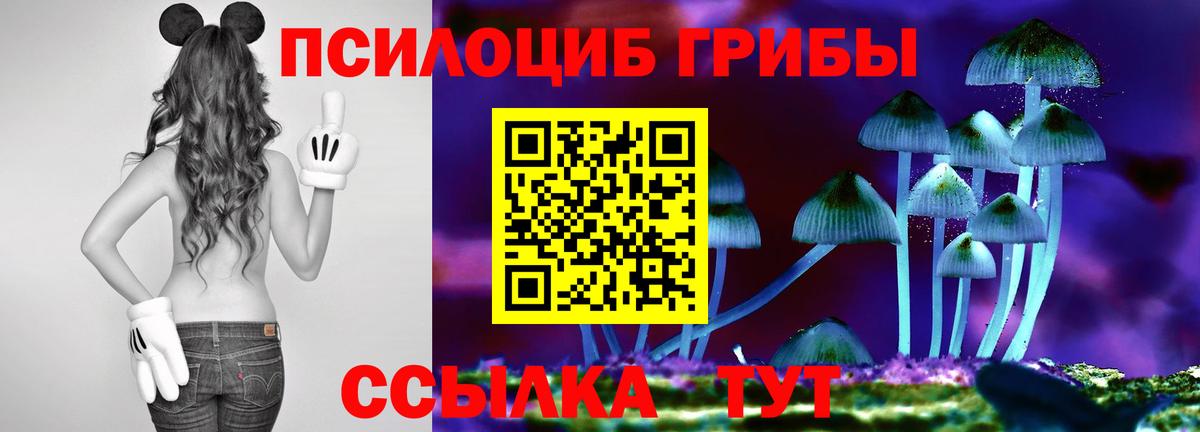 Бузулук  купить наркотик  Вход с VPN  Псилоцибиновые грибы ЛСД 